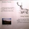 Kawałek historii